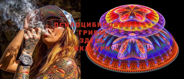сатива Куйбышев