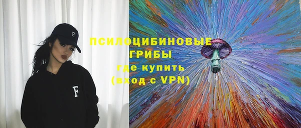2c-b Кукмор