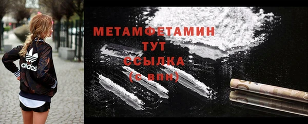 сатива Куйбышев