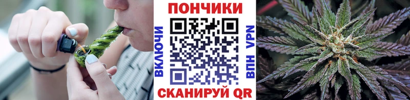 Конопля гибрид Медвежьегорск